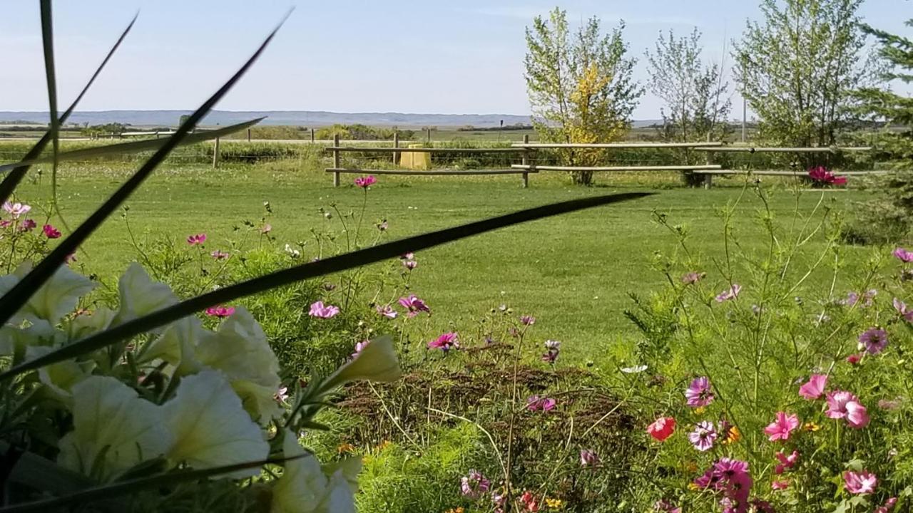 Anna's Prairie Comfort Bed & Breakfast *