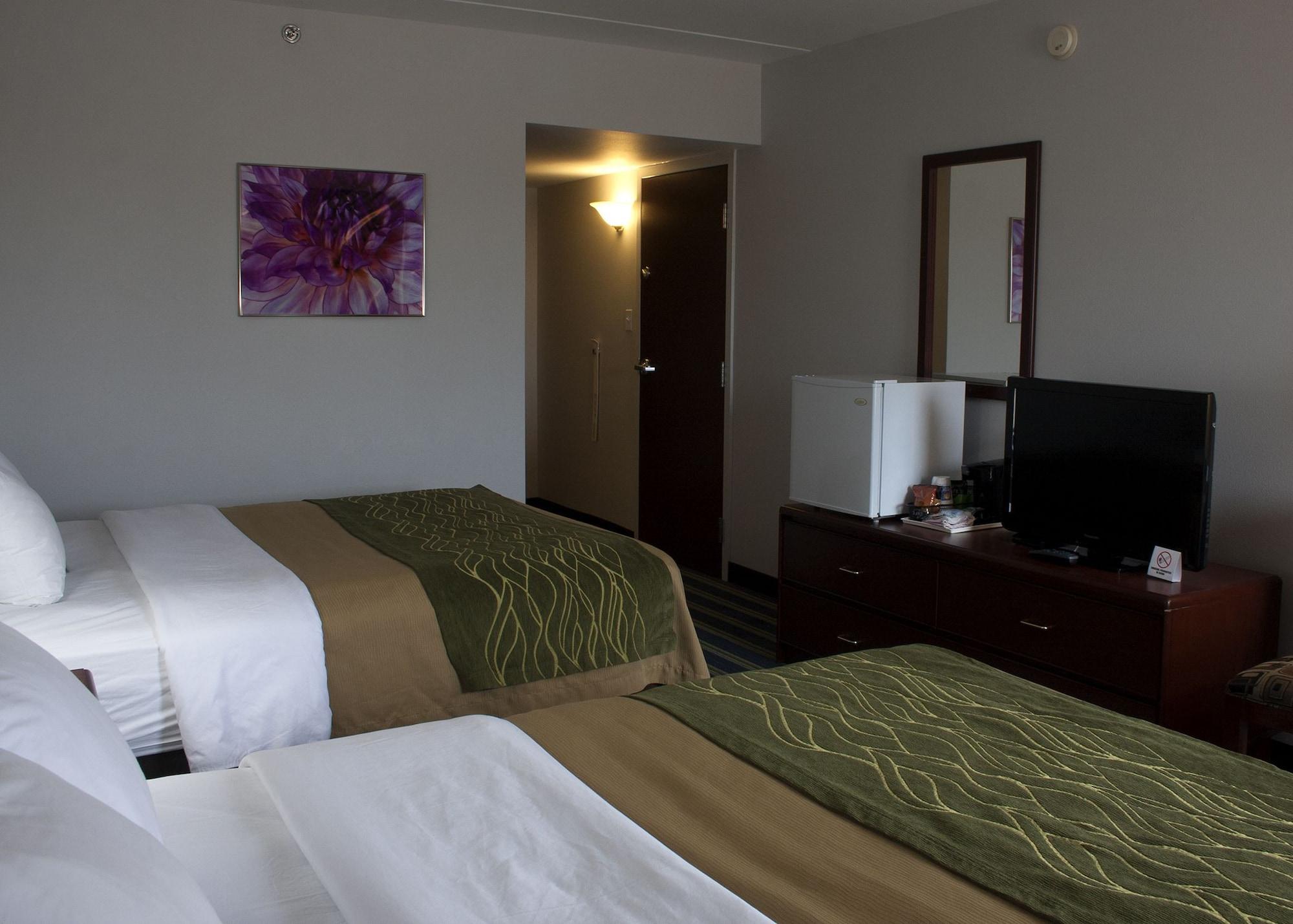 Comfort & Moose Jaw