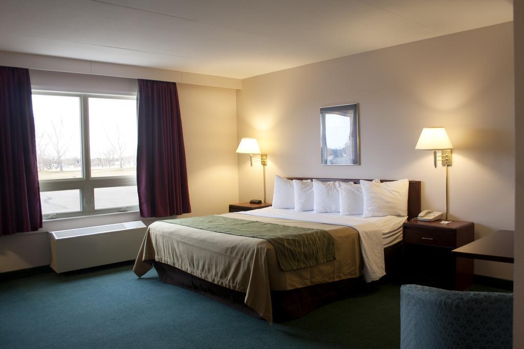 Comfort & Hotel