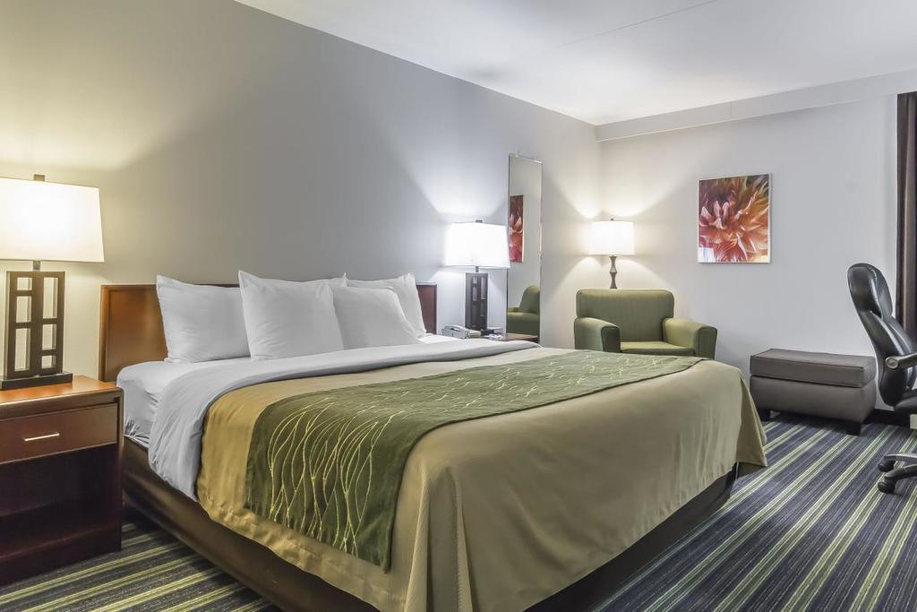 Hotel Comfort &