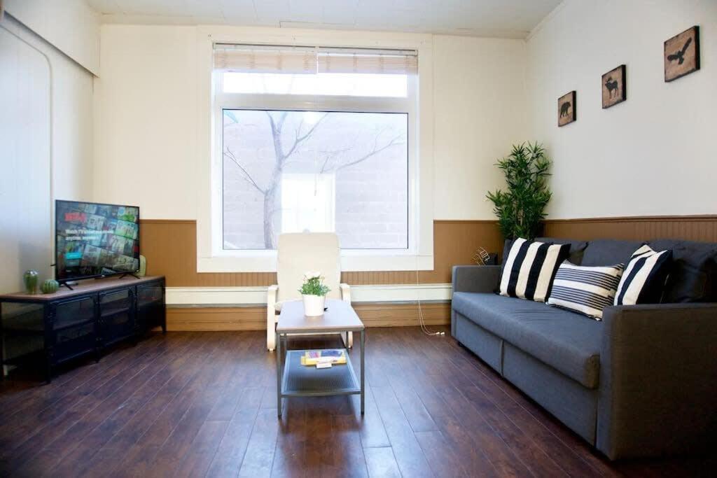 New Stunning Large Gorgeous Space Downtown Parking Coffee Apartment *