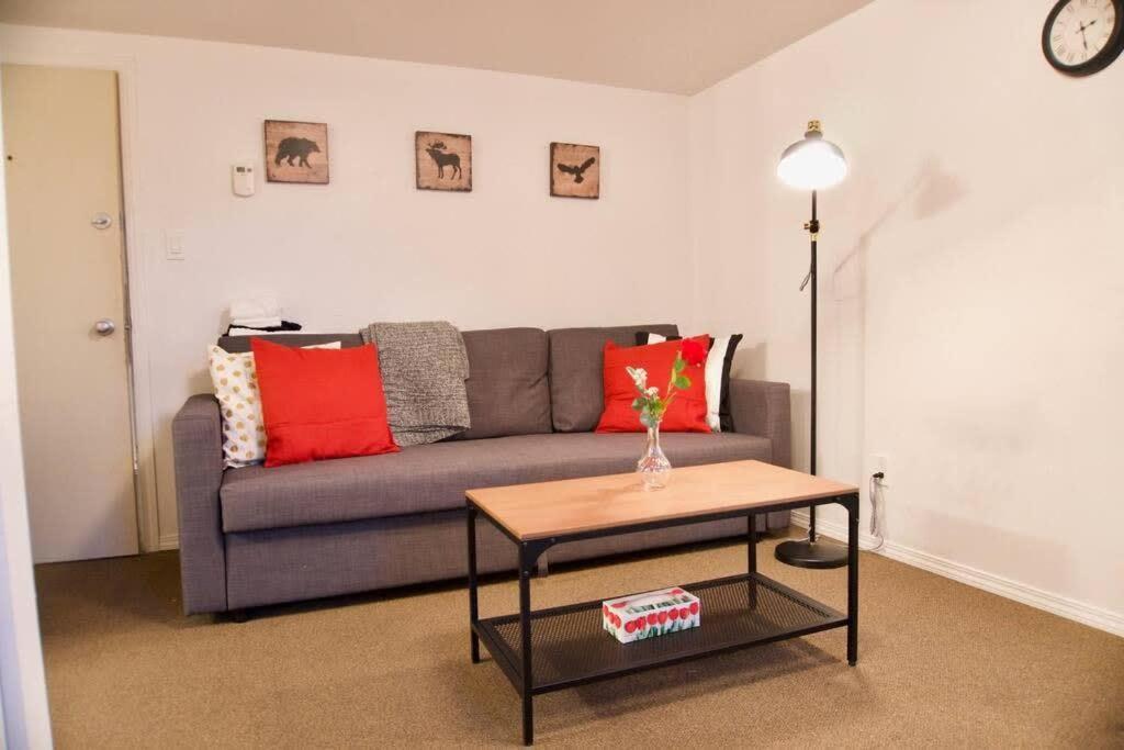 Apartment Cozy Downtown Parking Coffee Location