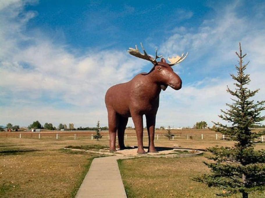 Cozy Downtown Parking Coffee Location Moose Jaw