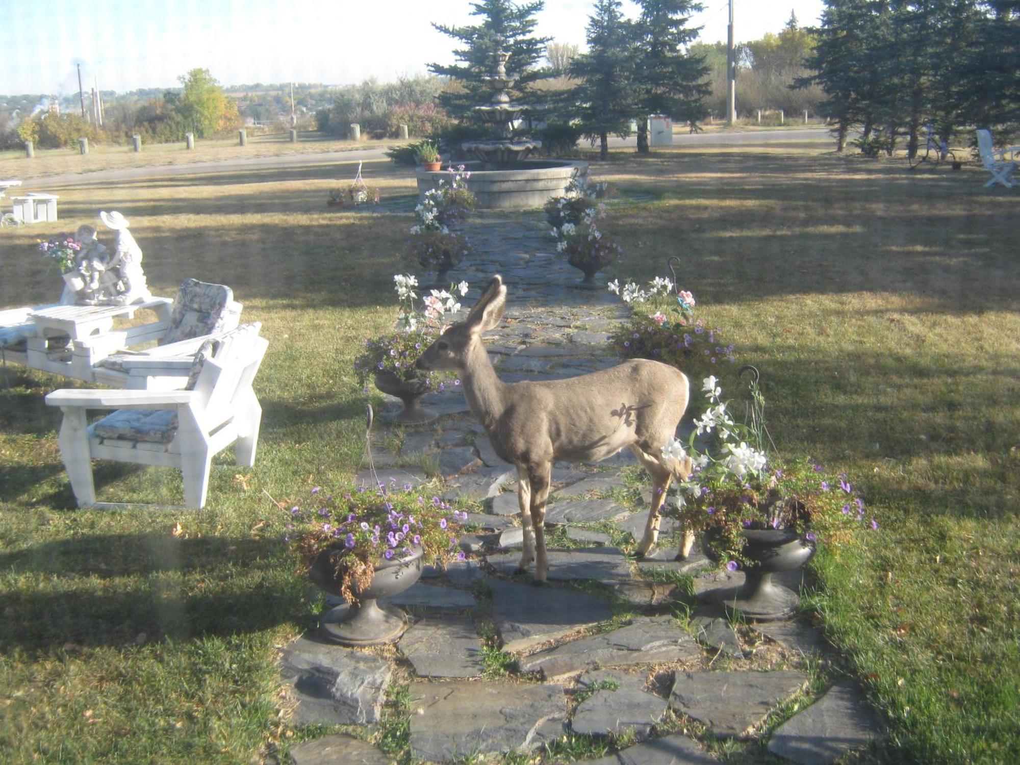 Wakamow Heights