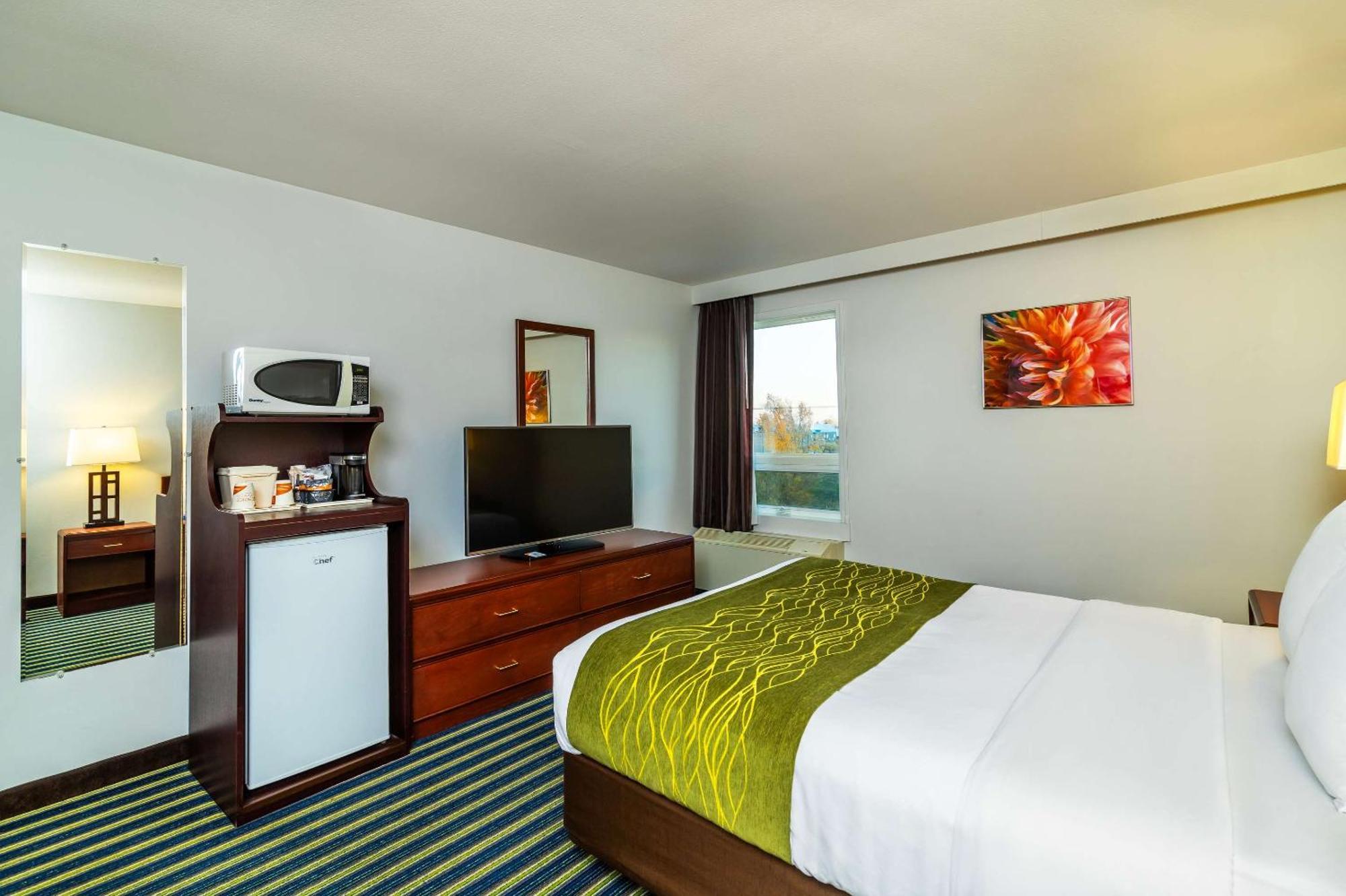Comfort & Moose Jaw