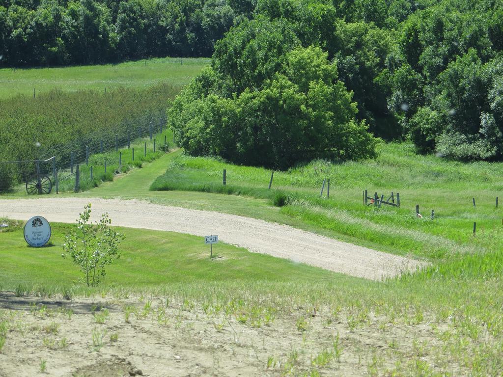 Orchard View