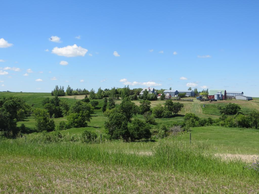 Bed & Breakfast Orchard View