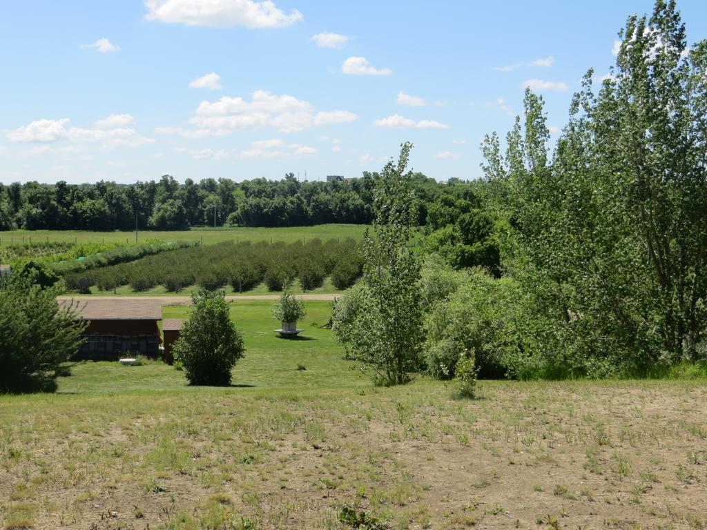 Orchard View